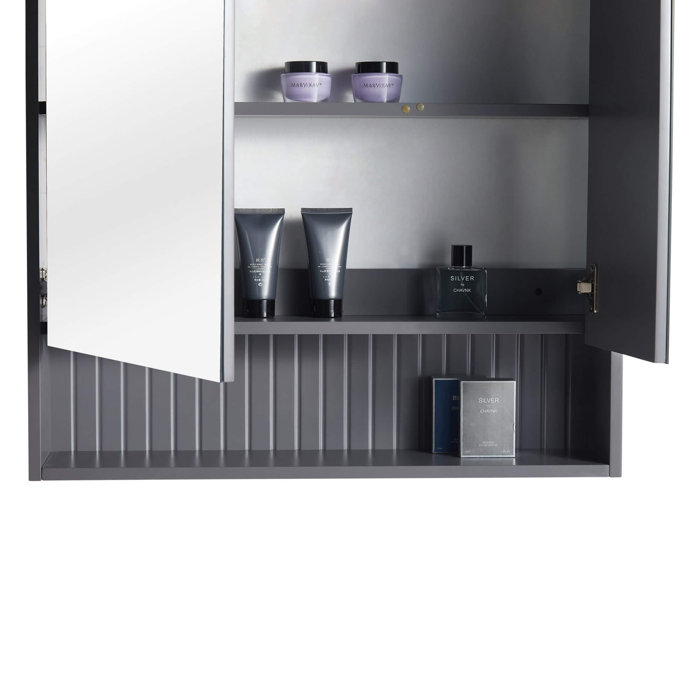 Latitude Run® Asahel 27.75'' W 30'' H Surface Mount Framed Medicine